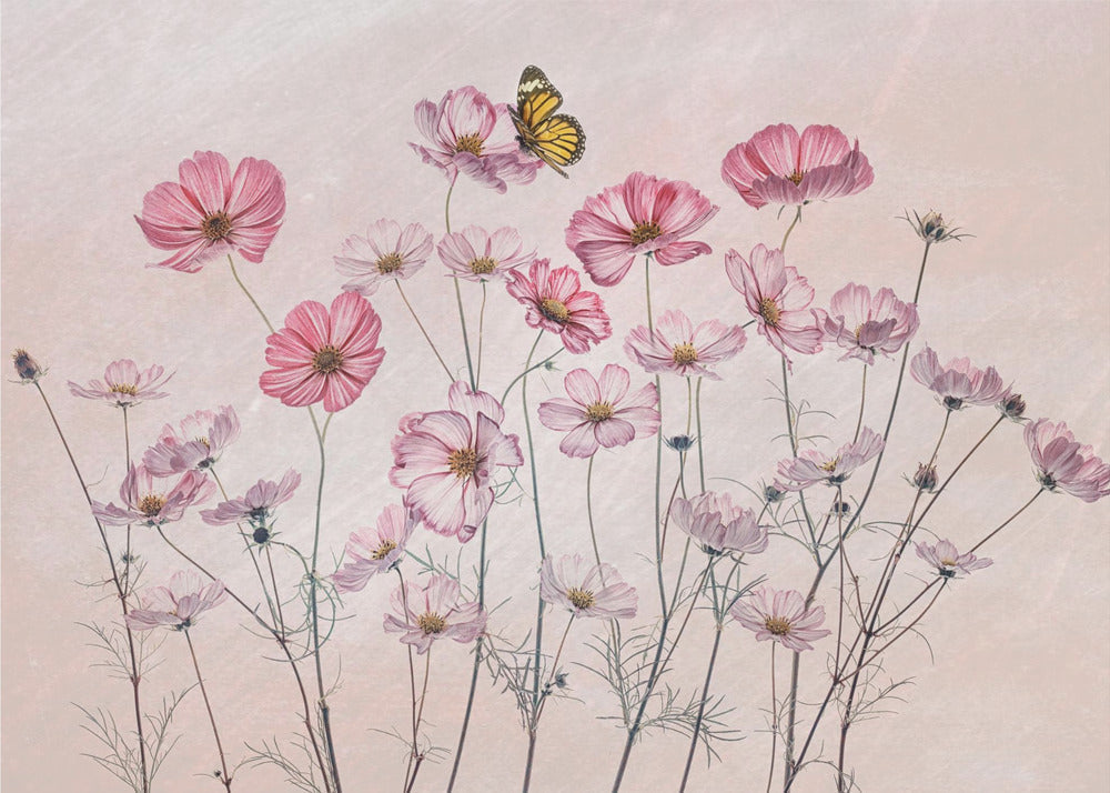 Wall Art Cosmos and Butterfly