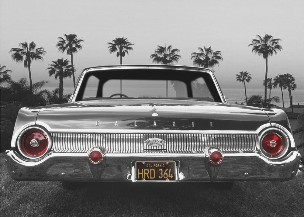 Wall Art Ford Galaxie 500XL
