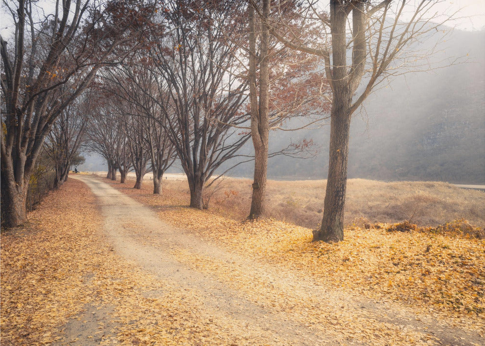 Wall art In the middle of autumn