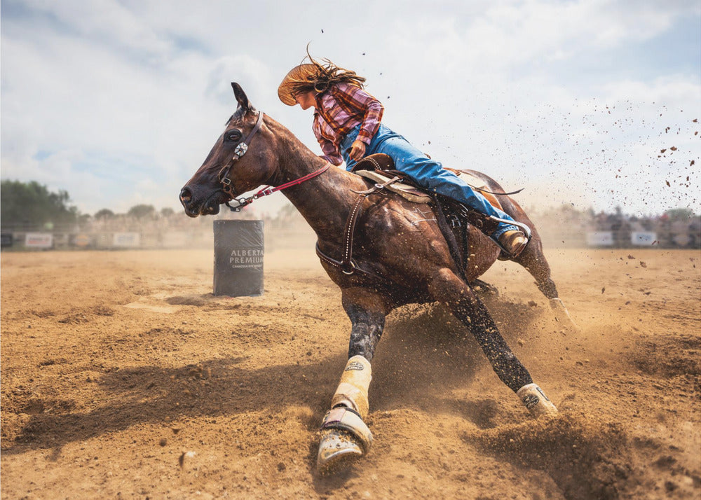 Wall ArtSlam on the Brakes