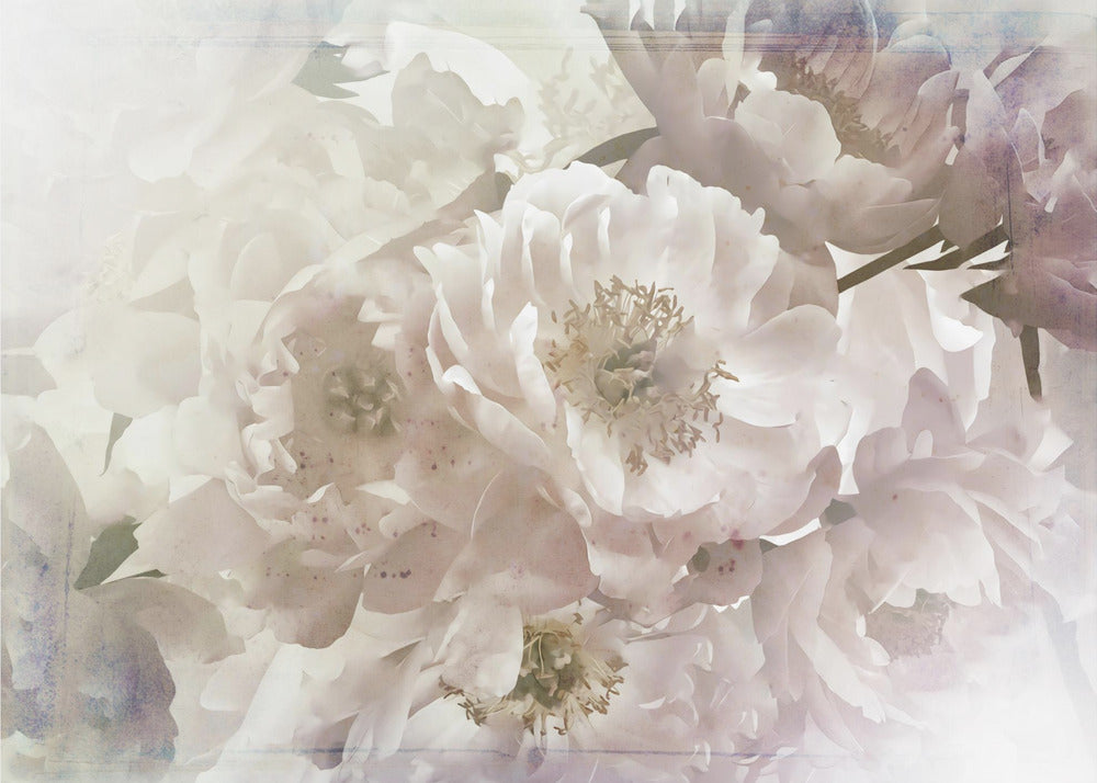 Wall Art Ombre033flower