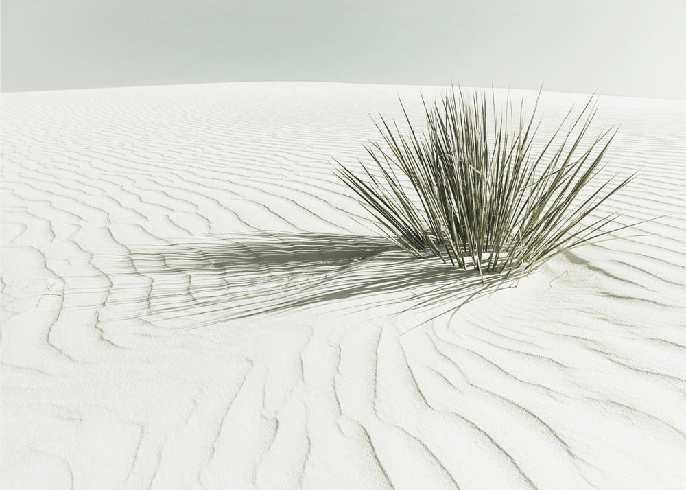Wall art WHITE SANDS Vintage Dune