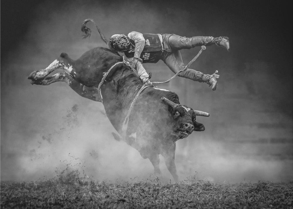 Wall Art Keeping Balance