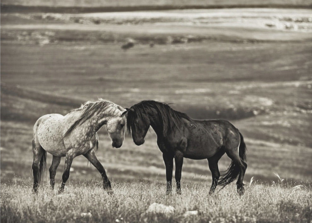 Wall art close encounter