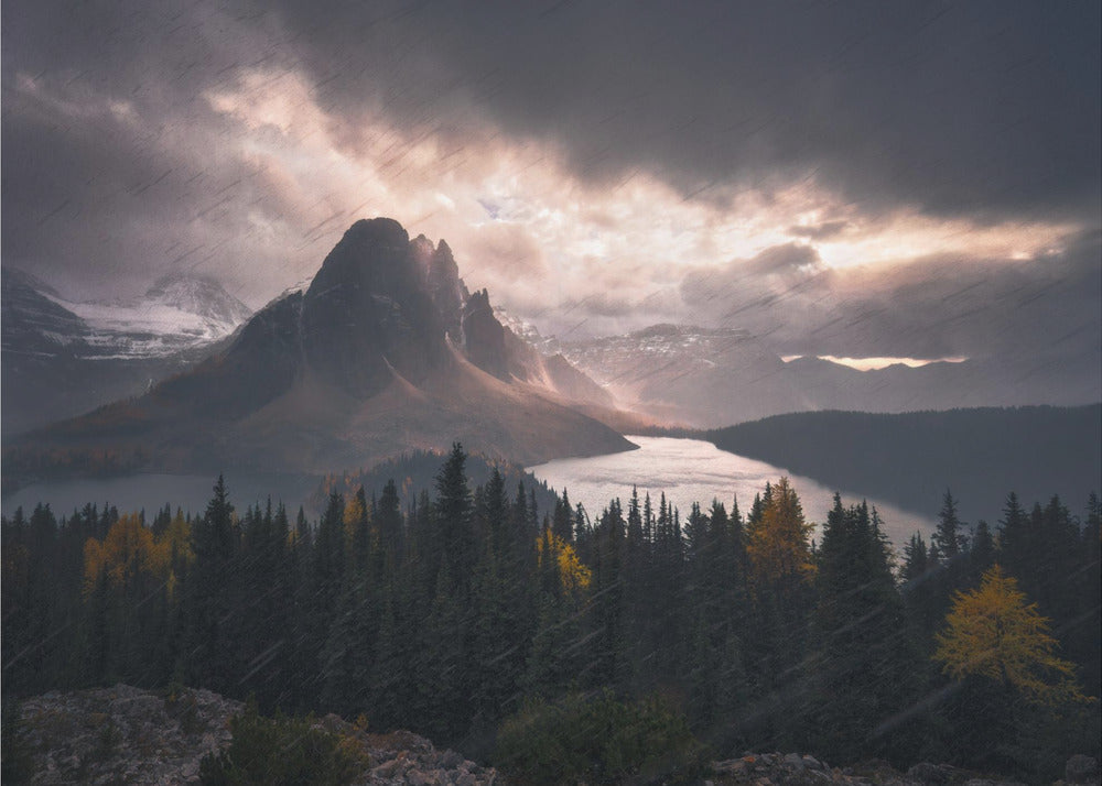 Wall art Assiniboine in Snow