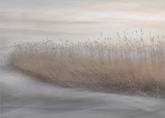 Wall art Winter Reed