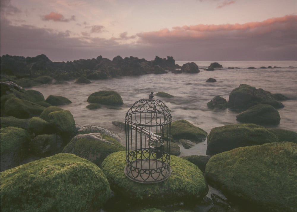 Wall art Free yourself!