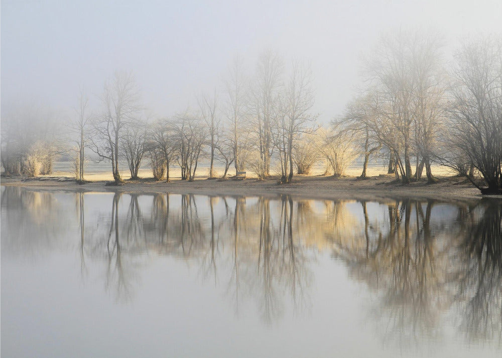 Wall art january morning