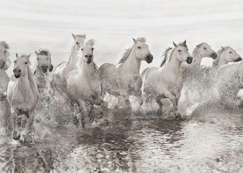 Wall art Illusion of power (13 horse power though)