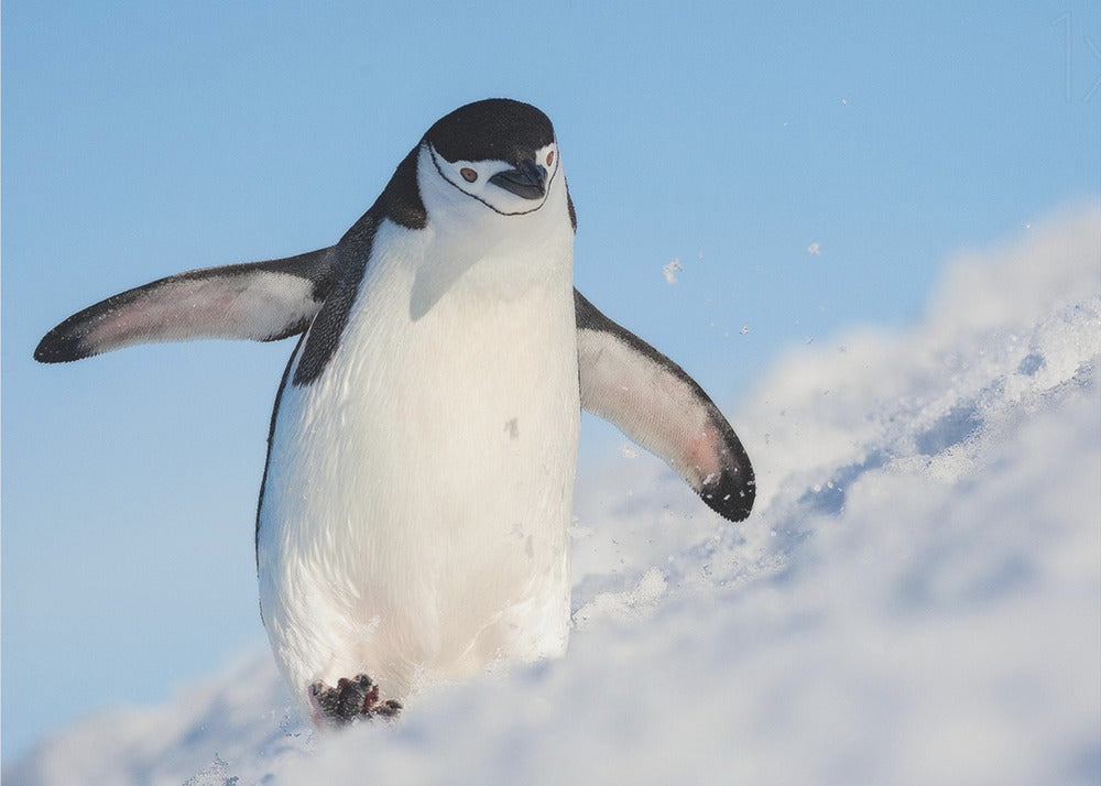 Wall art Running up that hill