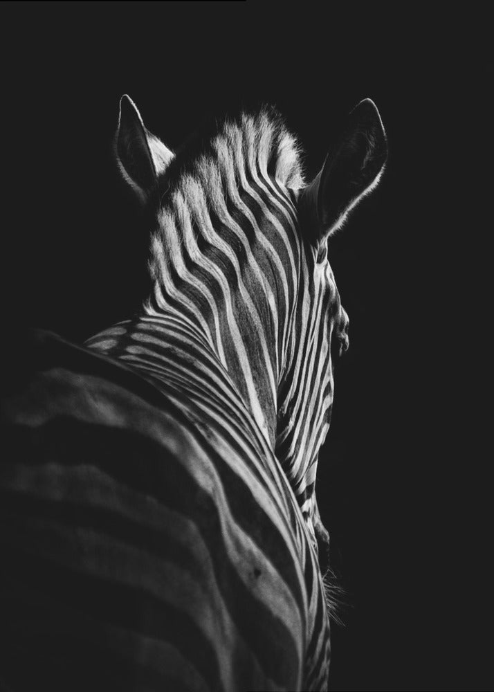 Wall art Stepping Down #6