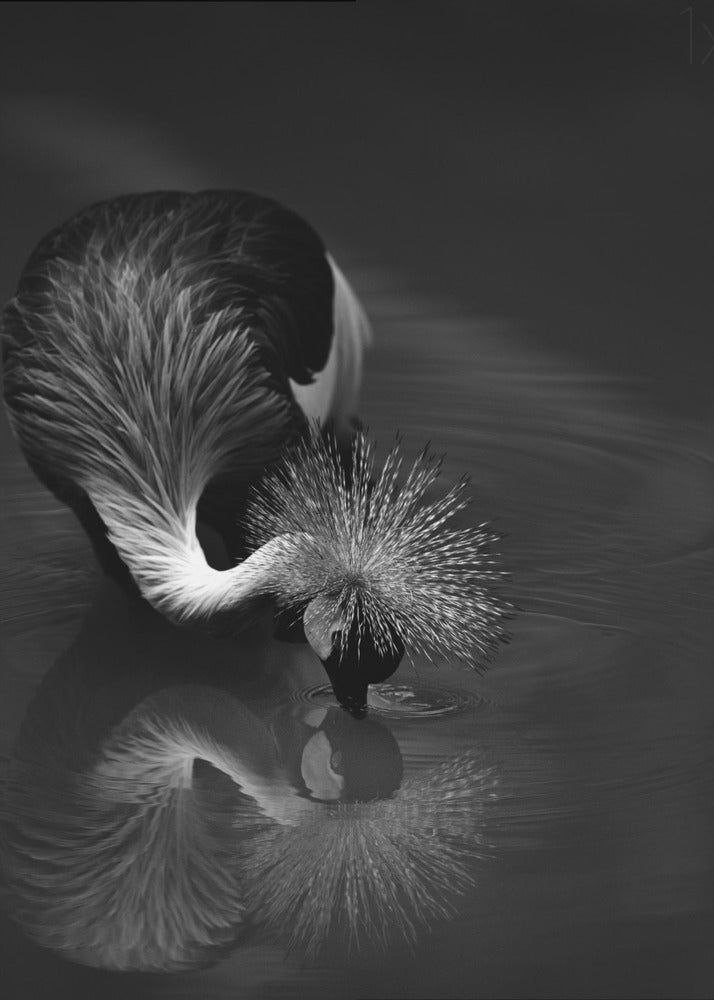 Wall art The reflection