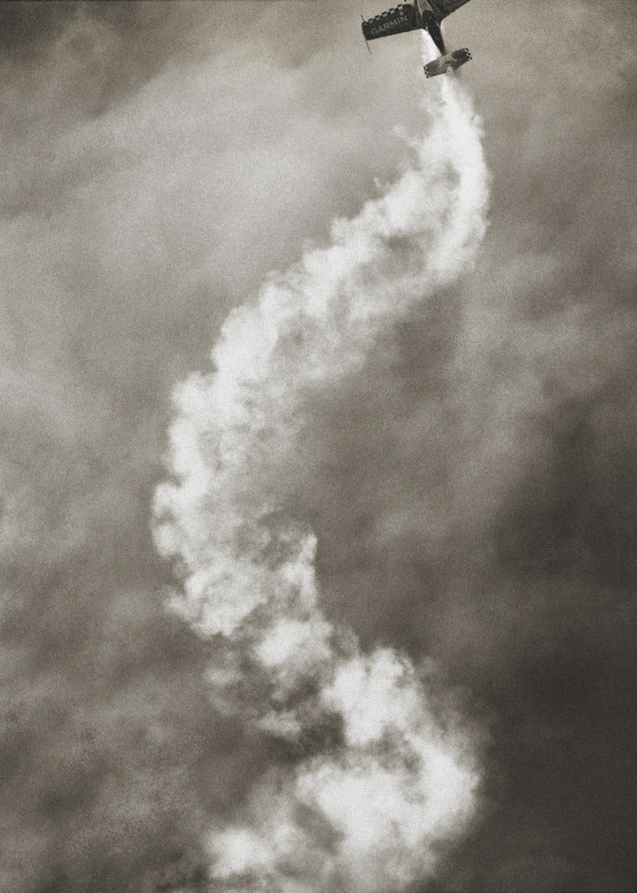 Wall art Aviation DNA