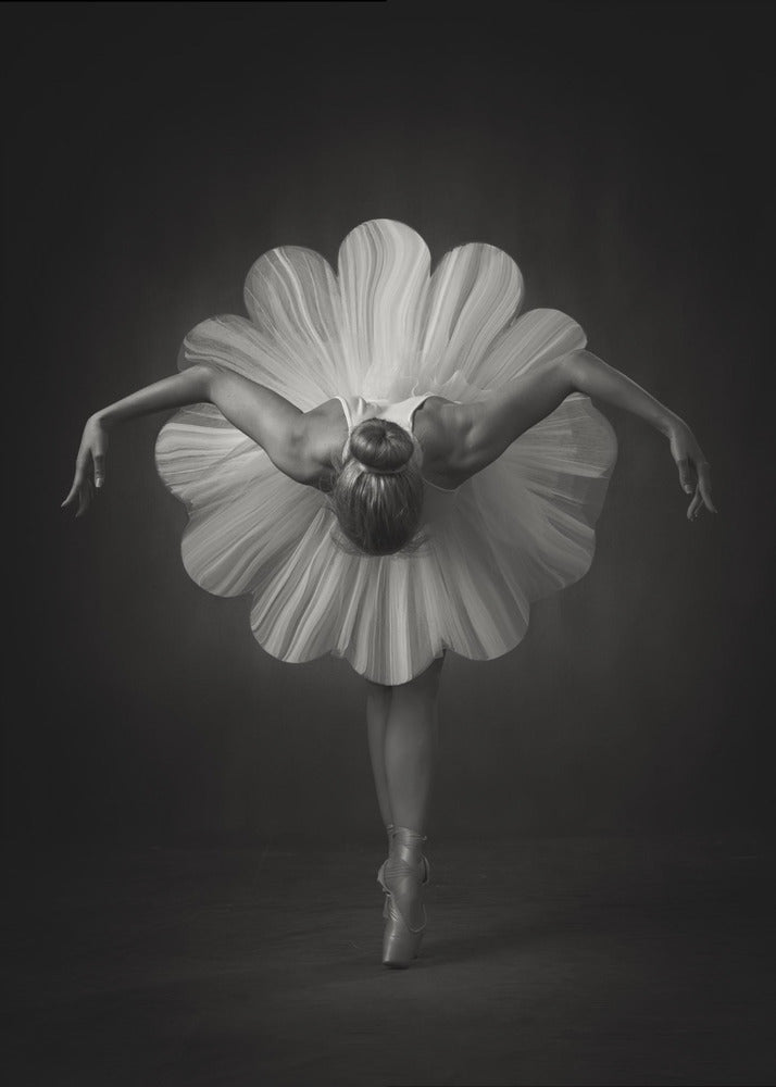 Wall Art Floral Ballet