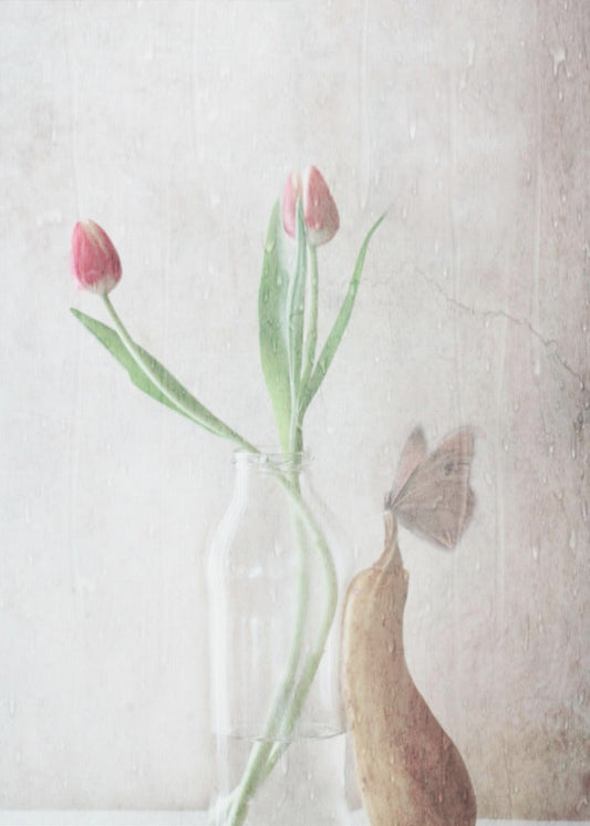 The pitter-patter of the rain