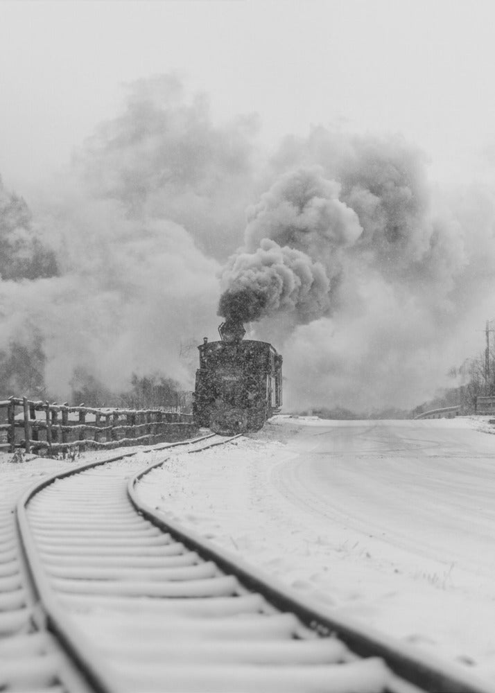 Wall art Mocanita Hutulca