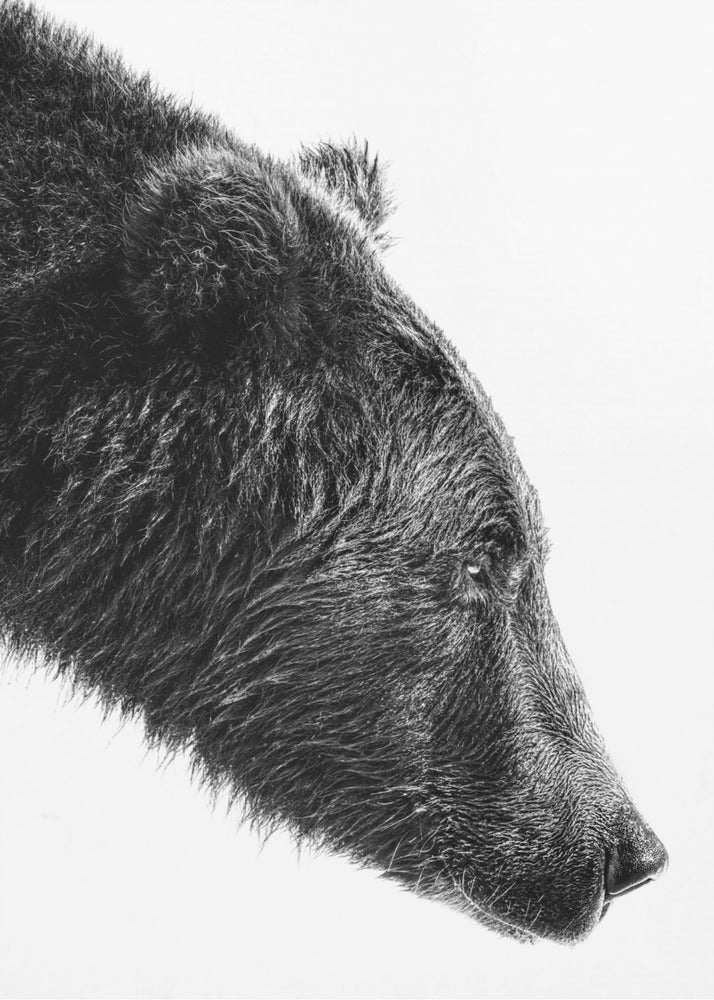 Wall art The Salmon Catcher