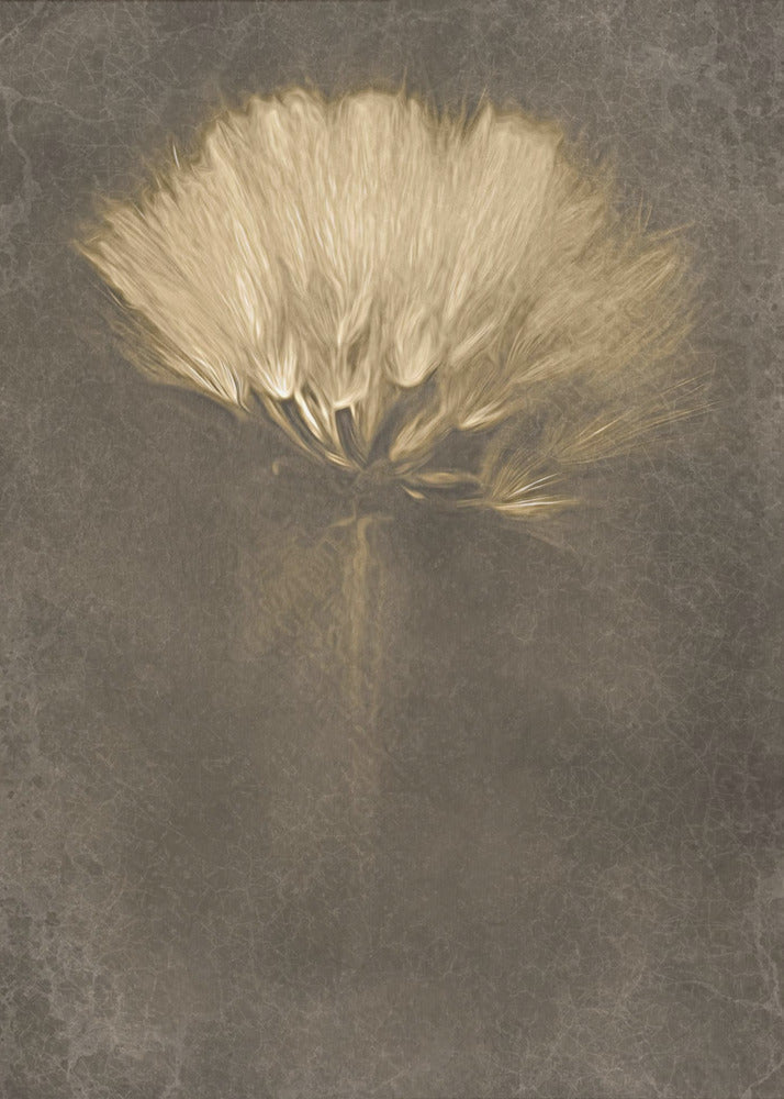 Wall Art Mysterious Days