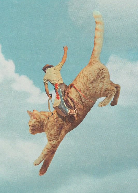 Wall Art Meehaw  Rodio Cat