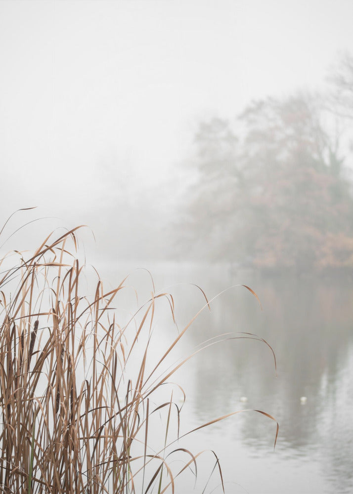 Wall art At the Lake