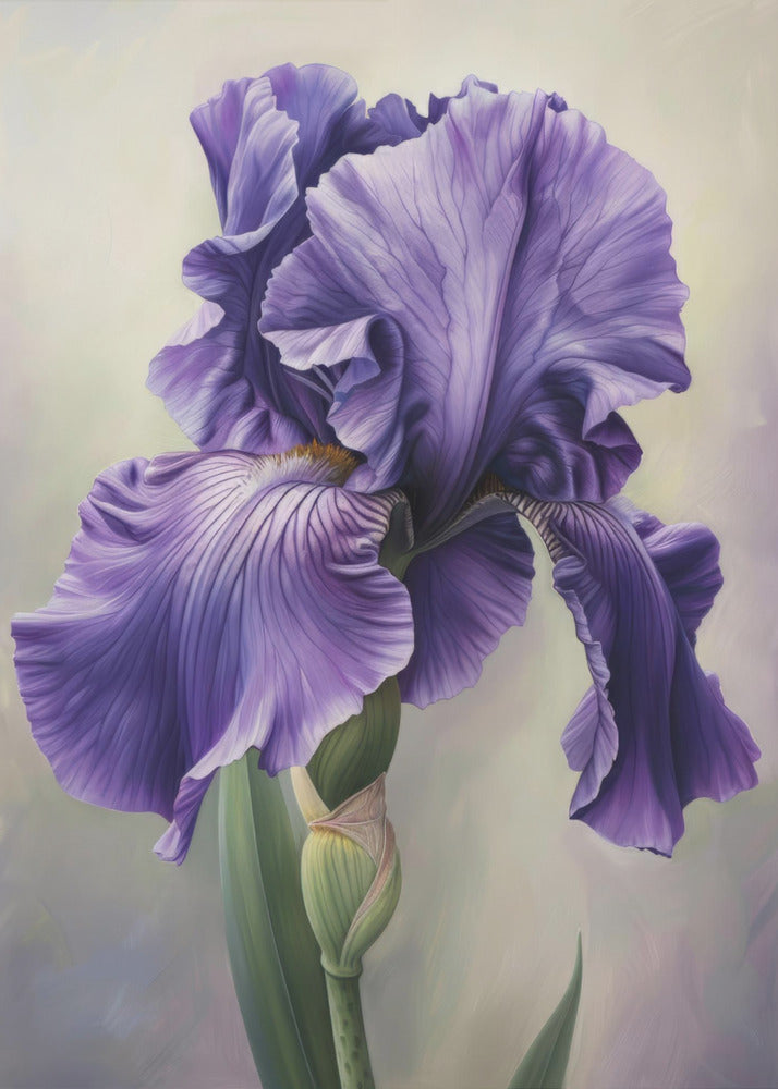 Wall art Iris Fl 113