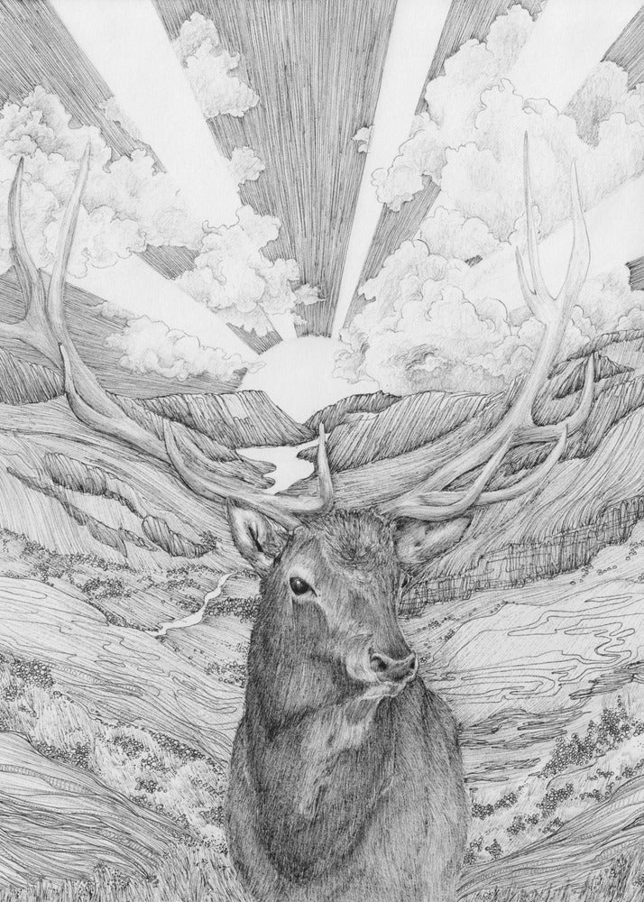 Rise With the Sun Original