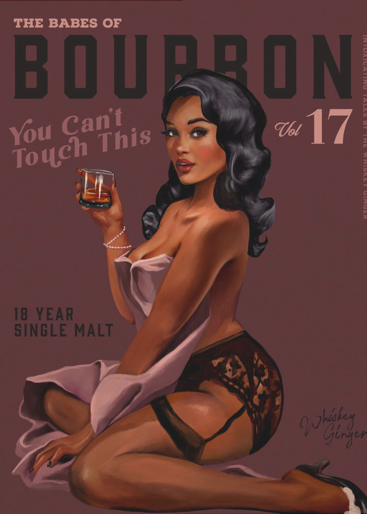 Wall art Babes of Bourbon Cant Touch This. Sexy Retro Pin Up Girl Whiskey Art