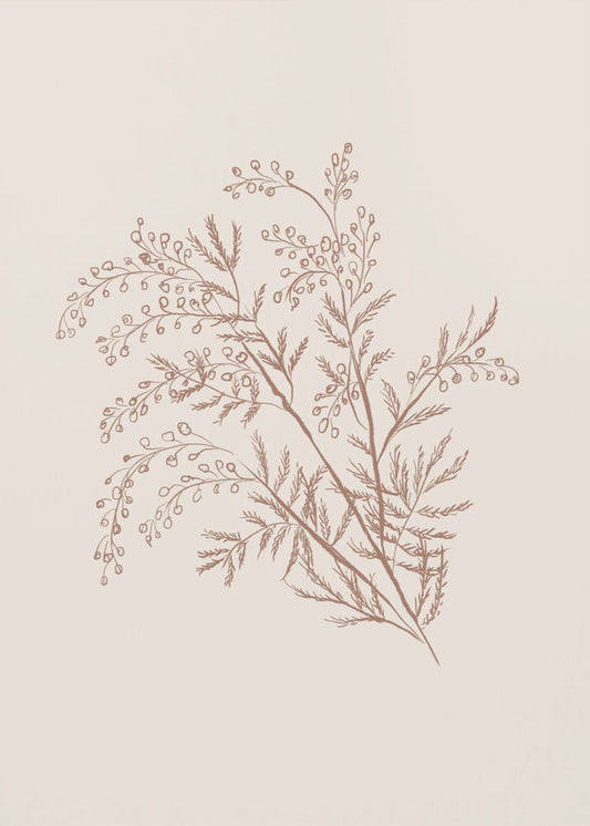 Wall art Acacia Botanical Branch