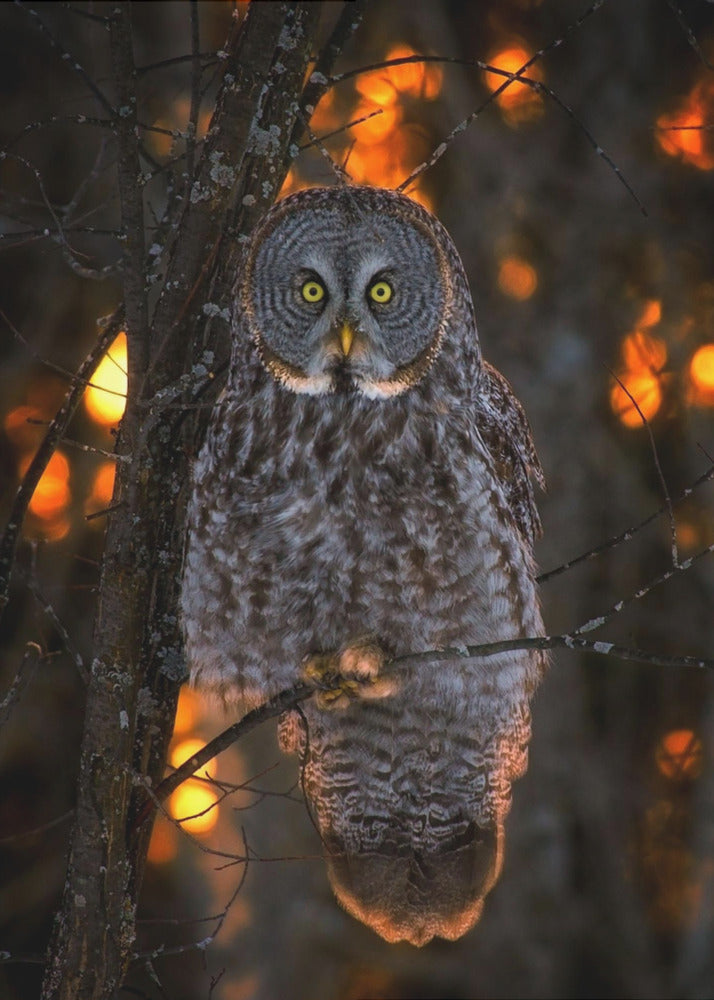 Wall art Solemn Sunset