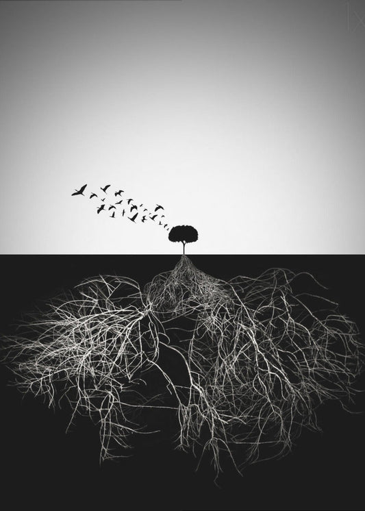 Wall art Do not judge according to appearance