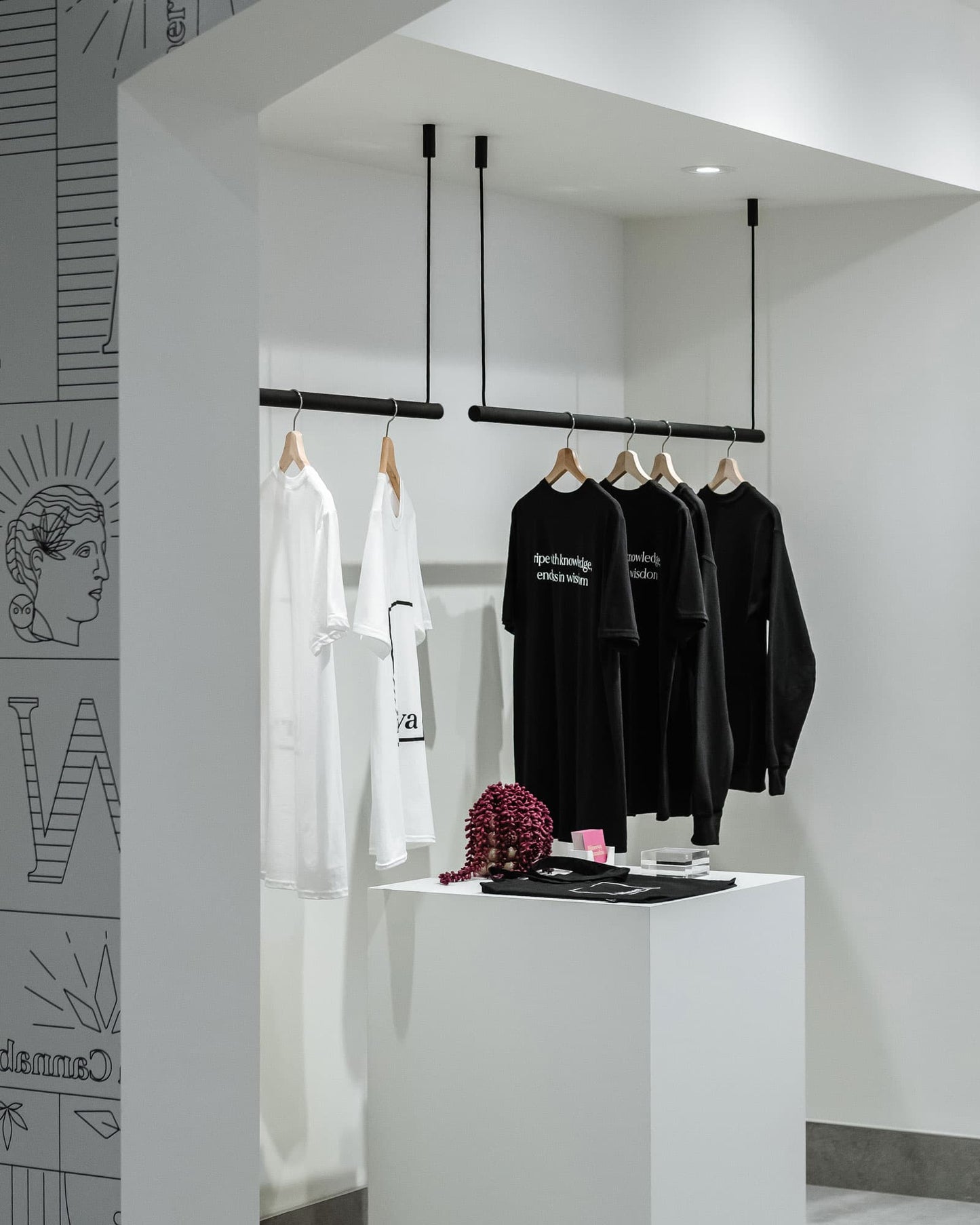 Ceiling Clothing Rack