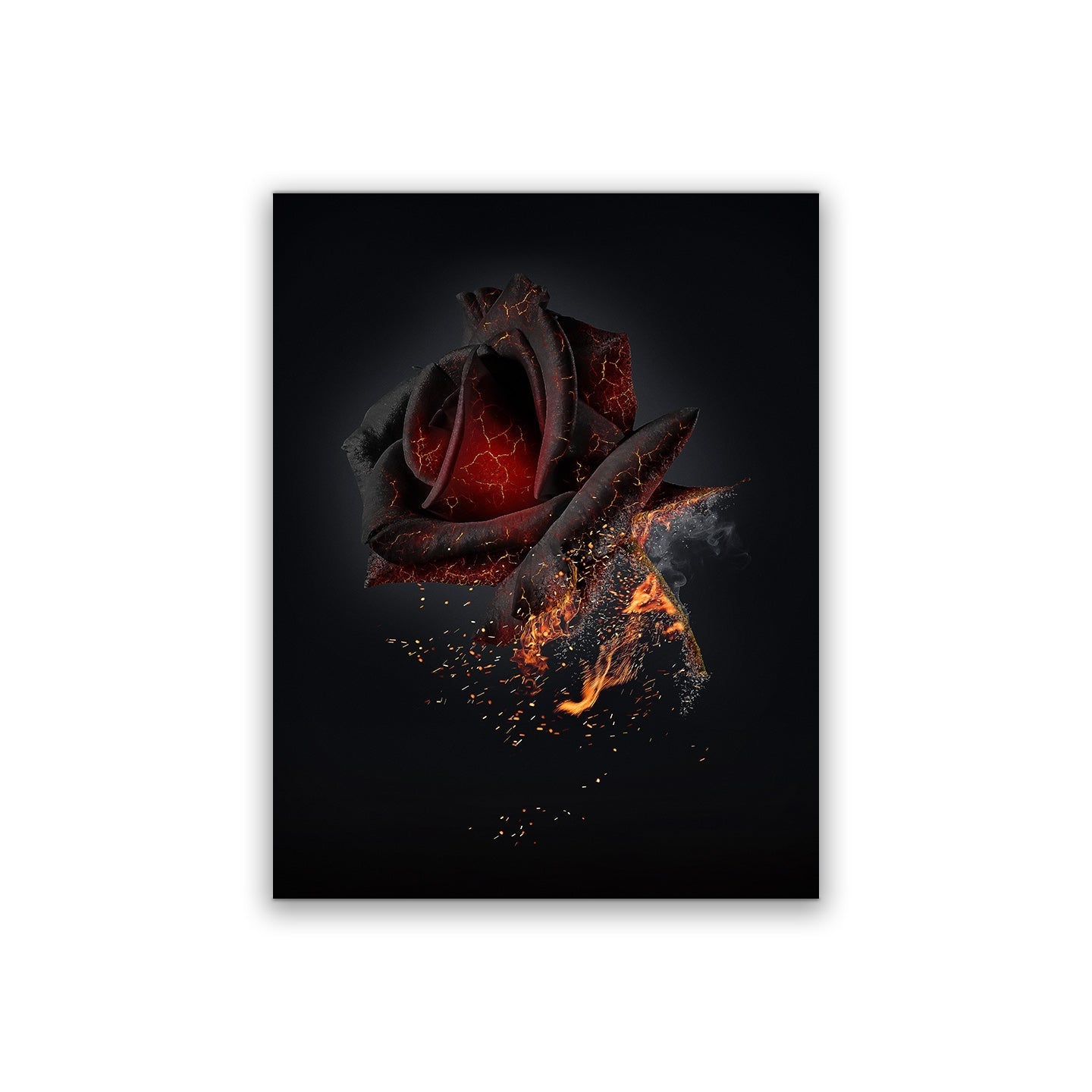 Canvas Print-Burning Rose-Wall art