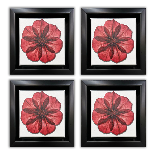 Canvas Print -Set of 4 Framed (Black) Tabletop