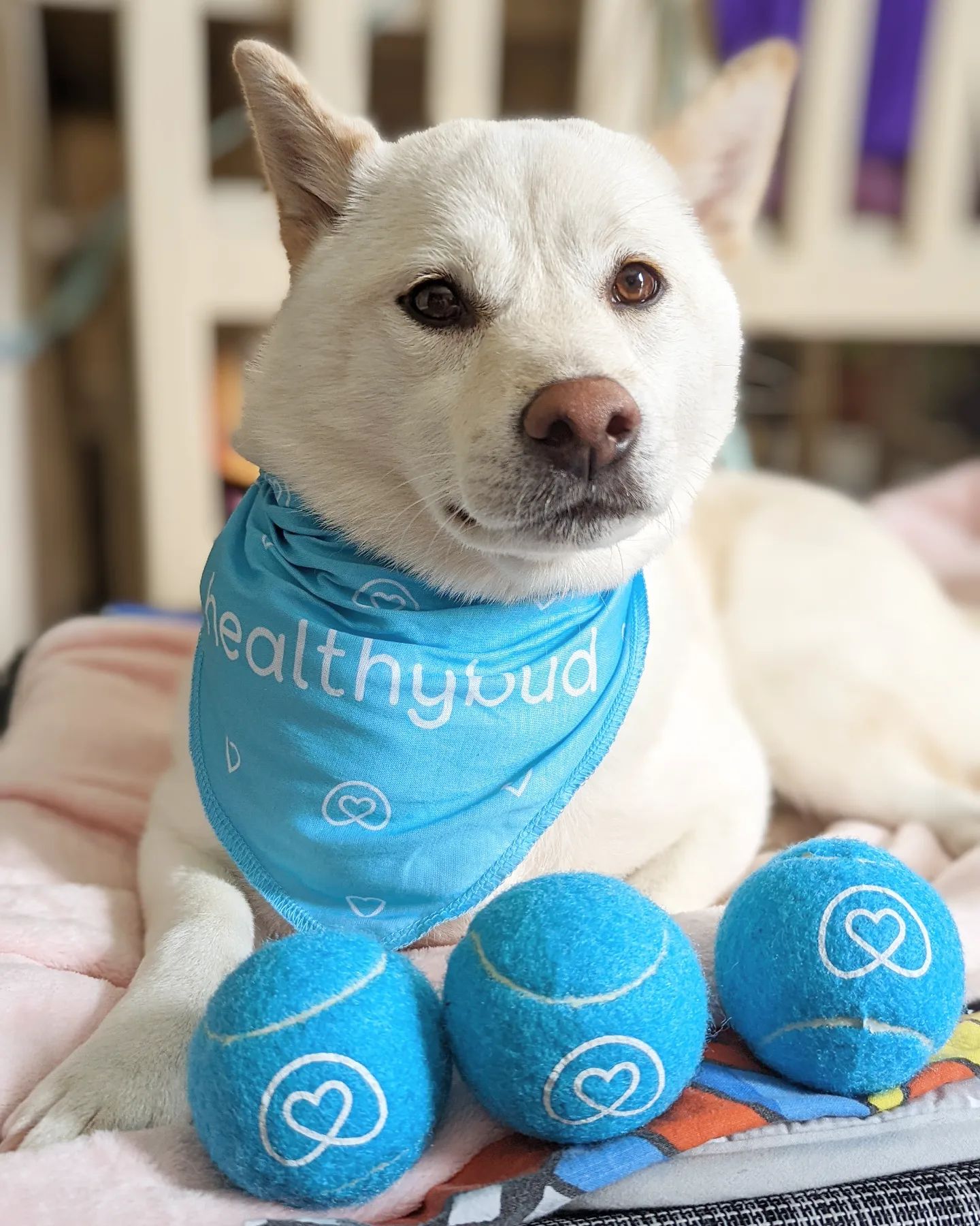 Tennis Balls