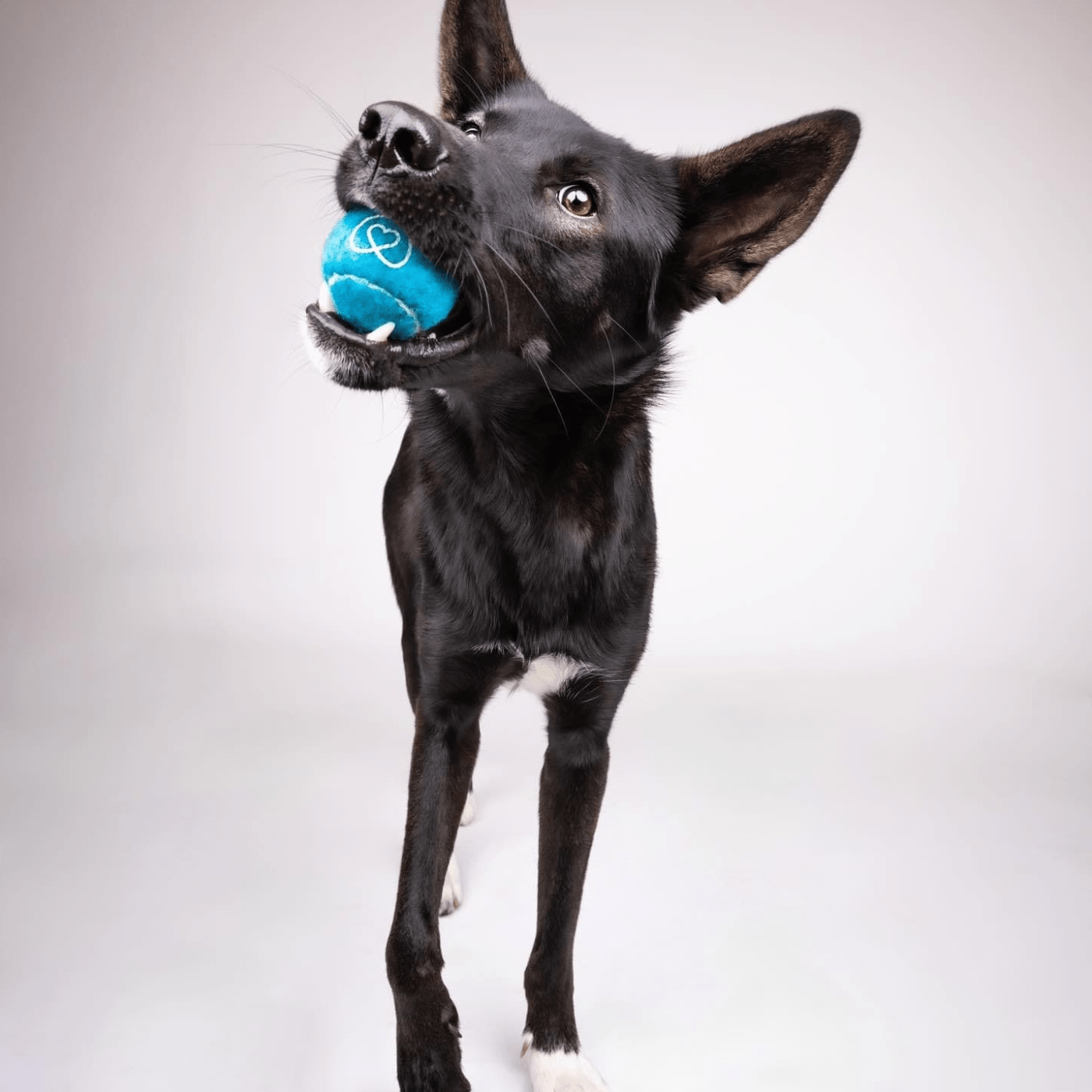 Tennis Balls