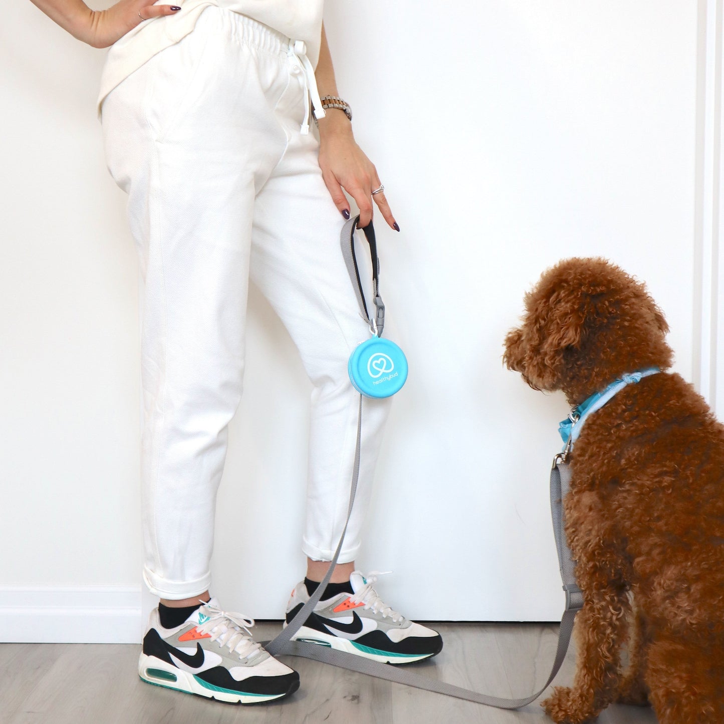 Training Treat Pouch
