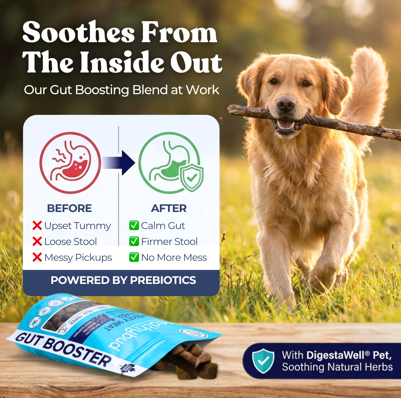 Turkey Gut Booster